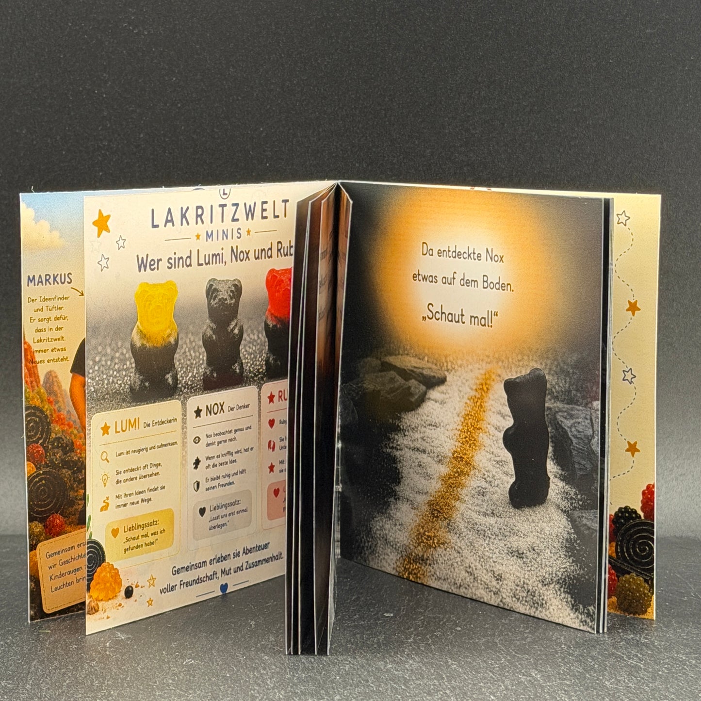 800 | Kinderbuch "Der verlorene Seestern"